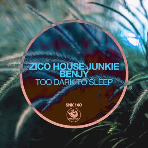 Zico House Junkie x Benjy – Too Dark To Sleep (Original Mix)
