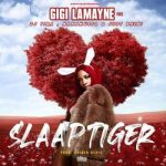 Gigi Lamayne Slaap Tiger ft DJ Tira, NaakmusiQ x Just Bheki.