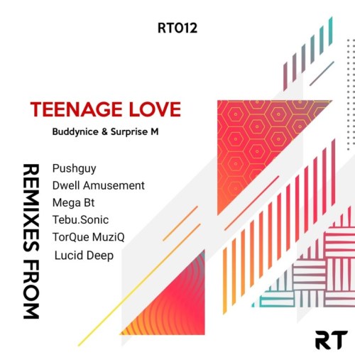 Buddynice x Surprise M – Teenage Love (TorQue MuziQ Afro Tech Mix)