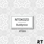 Buddynice Ntokozo (Redemial Mix).