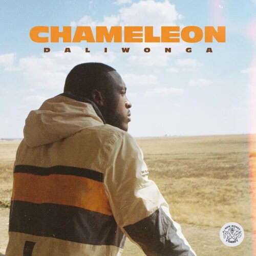ALBUM: Daliwonga – Chameleon