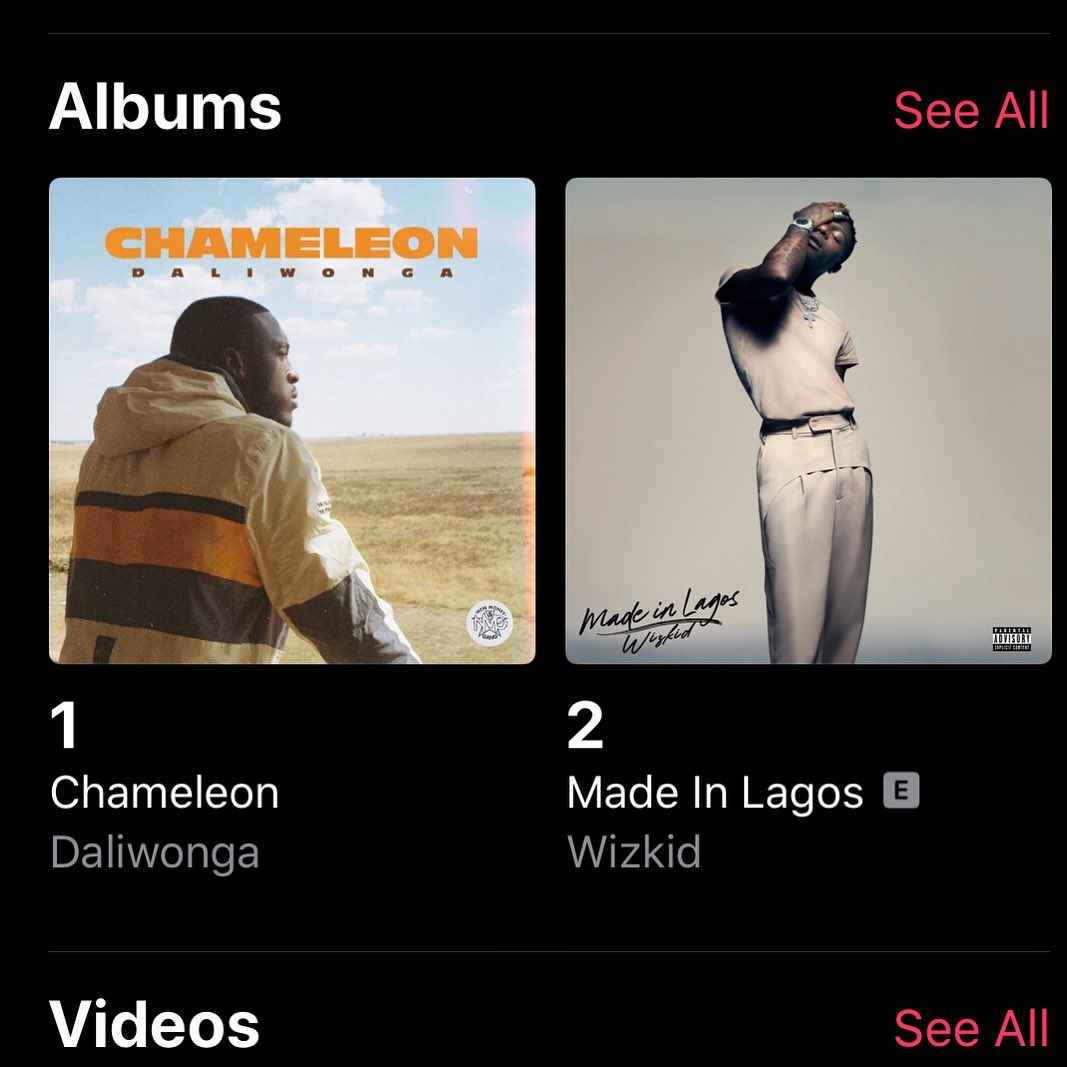 Daliwonga's Chameleon Overtakes Wizkid Album and Sits At No. 1 On iTunes