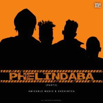 Amicable Music & ShokiNyza – Phelindaba (Part 2)