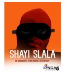 Dr Malinga x Team Mosha x Seven Step - Shayi Slala Mp3 Download