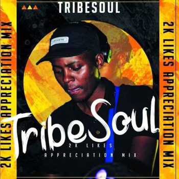 TribeSoul, Bido Vega & Nkulee 501 - Badimo (Amadlozi)