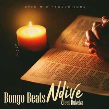 Bongo Beats – Ndive (ft. Bukeka)