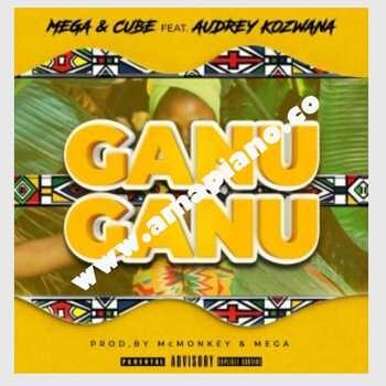 Mega - Ganu Ganu ft. (Audrey Kozwana) - Hip Hop