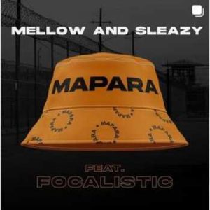Mellow & Sleazy Mapara ft Focalistic