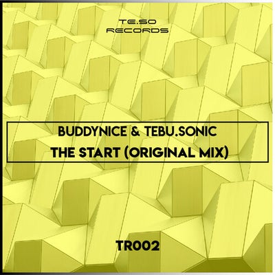 Buddynice & Tebu.Sonic – The Start (Original Mix) amapiano