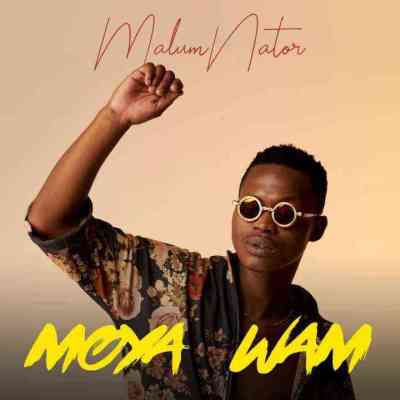 MalumNator – Moya Wam amapiano