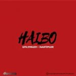 Kota Embassy x Swartspeare - Haibo