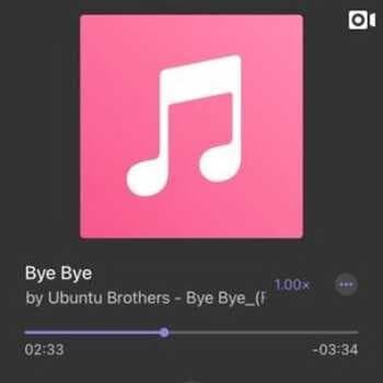 Ubuntu Brothers - Bye Bye (Snippet)