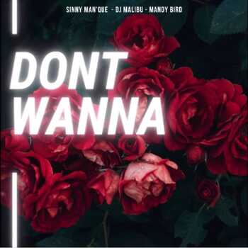 Sinny Man Que x DJ Malibu x Mandy Bird - Dont Wanna (Vocal Mix)