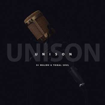 DJ Malibu & Tribal Soul - Unison