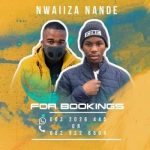 Ace no Tebza & Nwaiiza Nande – Impilo Inzima amapiano (1)