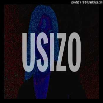 Kabza De Small x Ami Faku x Sha Sha Sha Type Beat - USIZO