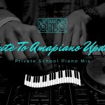 Tribute To Amapiano Updates DJ Music Facebook Cover