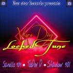 SANDILE 909 - VIGRO LOCKED TUNES ft SHADOW 901 x TEEDOW D