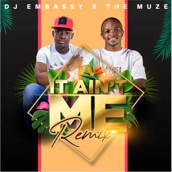 Dj Embassy & The Muze - It Ain't Me (Remix)