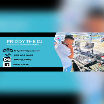 Priddy The DJ - Amapiano Mix 01