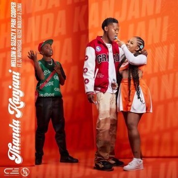 Mellow & Sleazy – Asambe (ft. Chley)