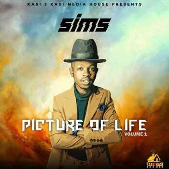 Sims - Picture of Life EP