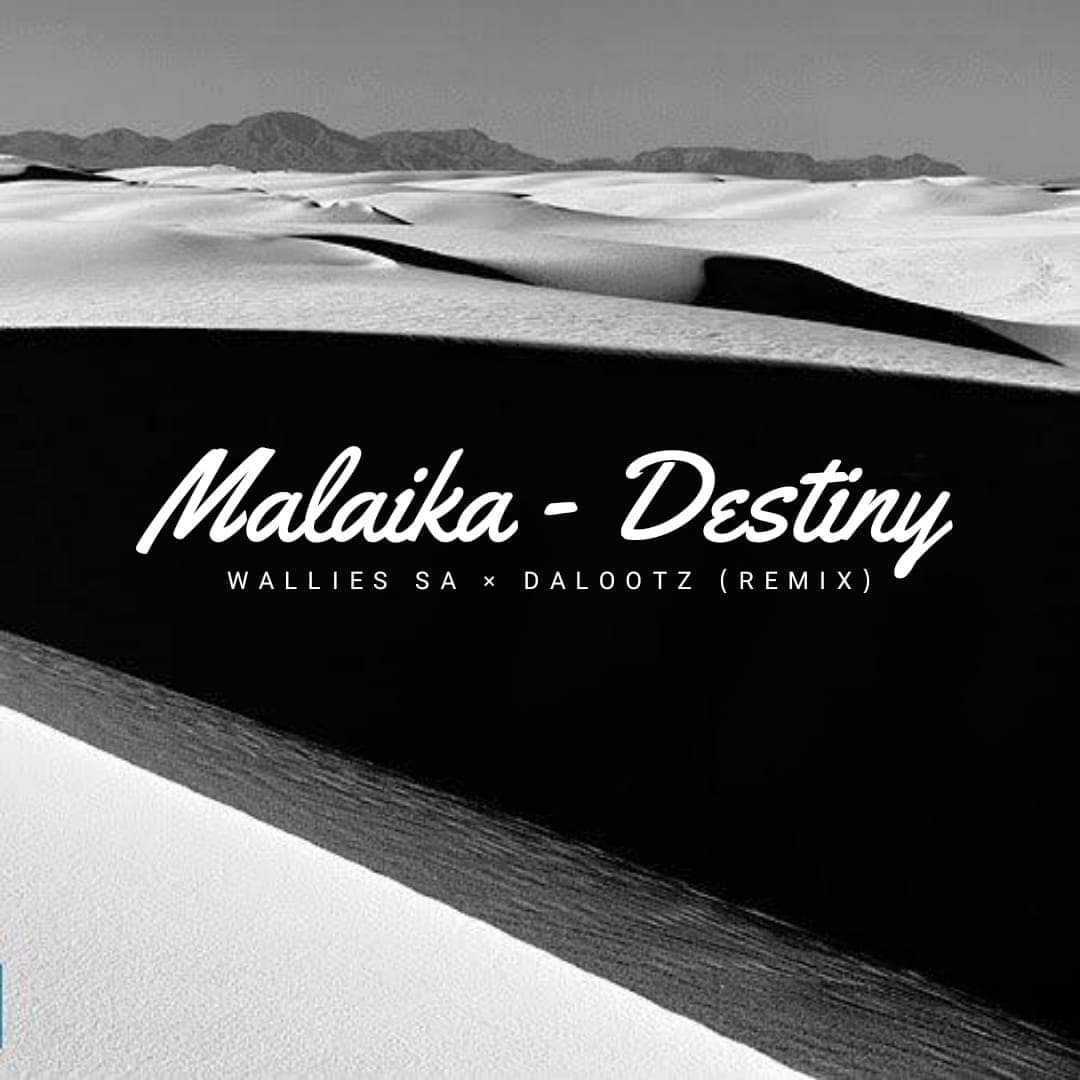 Dalootz & Wallies SA – Destiny (Amapiano Remix)