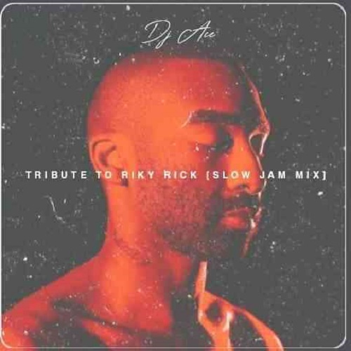 DJ Ace - Tribute to Ricky Rick (Slow Jam Mix)
