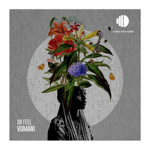 Dr Feel – Vumani