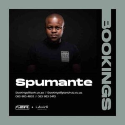 Spumante & Kabza De Small– Boizen (Official Audio)