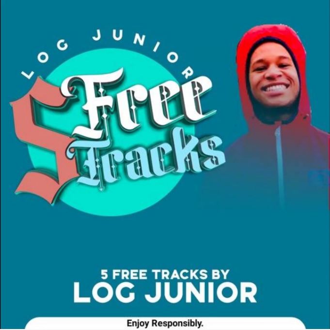 Log Junior - On The Low (Underground Mix)