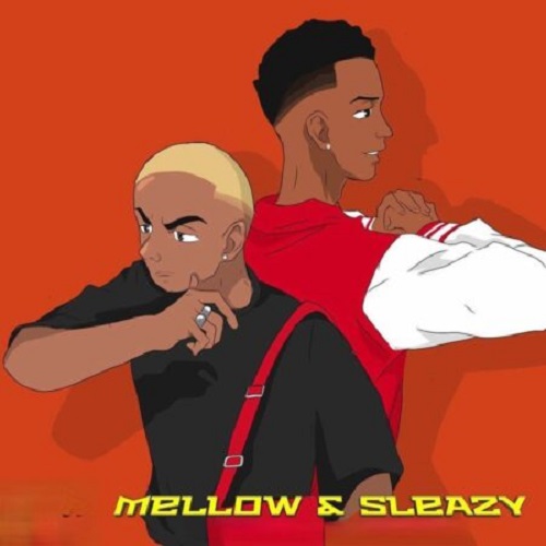 Mellow & Sleazy – Saka (Main Mix) (ft. Vigro Deep)