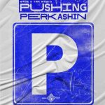 W4DE & TNK MusiQ – Pushing Perkashin MP3 Download