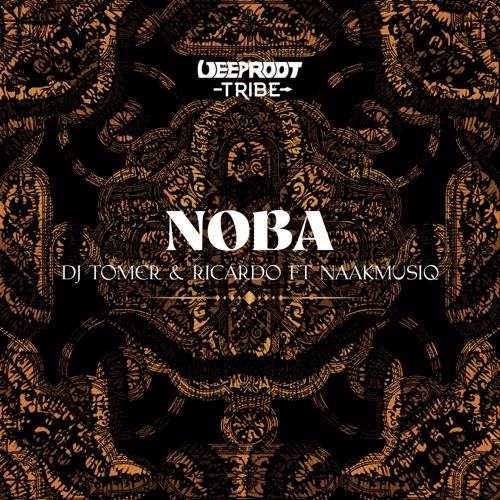 DJ Tomer & Ricardo – Noba (ft. NaakMusiQ)