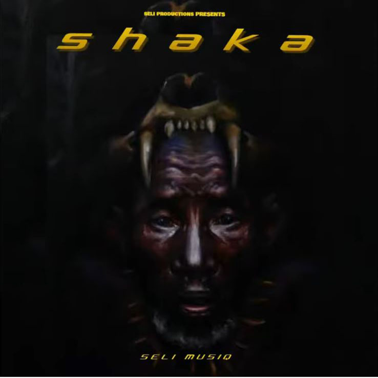 Seli MusiQ - Shaka (Underground MusiQ)