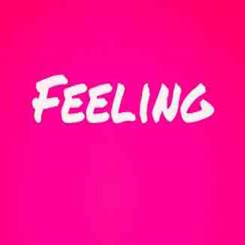 Heculidz Dj – Feeling (Joy)