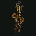 Malumz On Decks & Kgzoo – Phumelela (ft. Nana Atta)