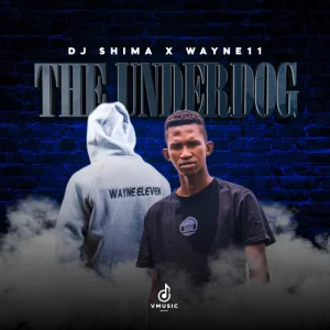 Dj Shima & Wayne11 – Thandaza (ft. Lastbutton)