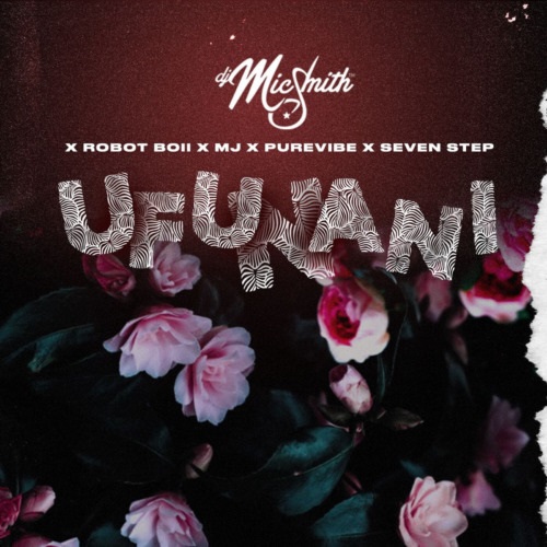 PureVibe, Robot Boii & M.J – Ufunani (ft. DJ Mic Smith & Seven Step)