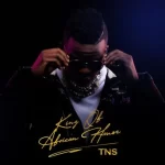 TNS – Summer Banger (ft. De Mthuda, Sino Msolo, MalumNator, Mpumi, Da Muziqal Chef & Skillz)