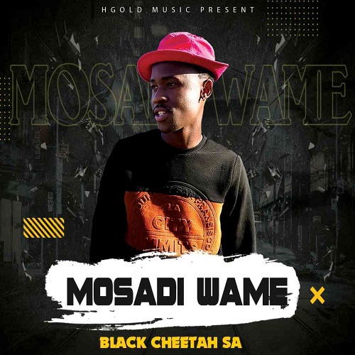Black Cheetah SA – Mosadi Wame MP3 Download