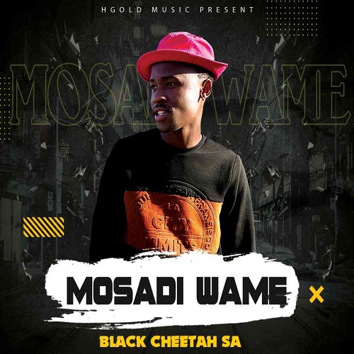 Black Cheetah SA – Mosadi Wame