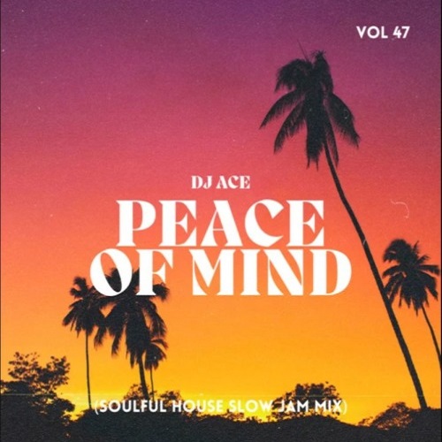 DJ Ace – Peace of Mind Vol 47 (Soulful House Slow Jam Mix) MP3 Download