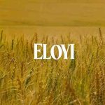 DJ Ngwazi – Eloyi ft Joocy & DJ Tira MP3 Download