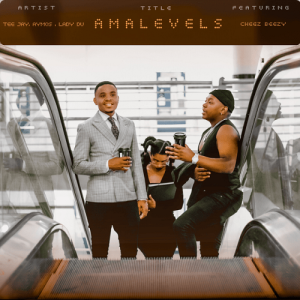 Tee Jay, Aymos, Lady Du & Cheez Beezy – Ama Levels MP3 Download
