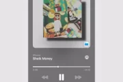 FLUXX, Tapes x 2woBunnies – Sheik Money
