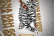 Mfana Kah Gogo – 1104 (ft. Loki x Priddy Dj)