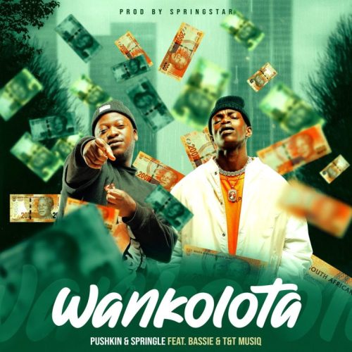 Pushkin & Springle – Wankolota ft. Bassie & T&T Muziq