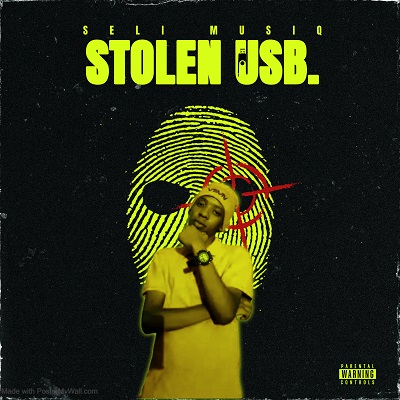 Seli MusiQ - Stolen USB