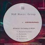 Sthamzin Da Deejay & AE3M - Uthando (Original Mix)